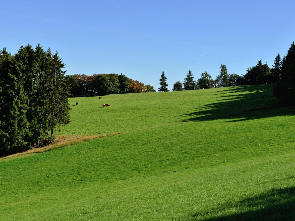 Holiday In The Sauerland Region In Unique Location Willingen  Eksteriør billede